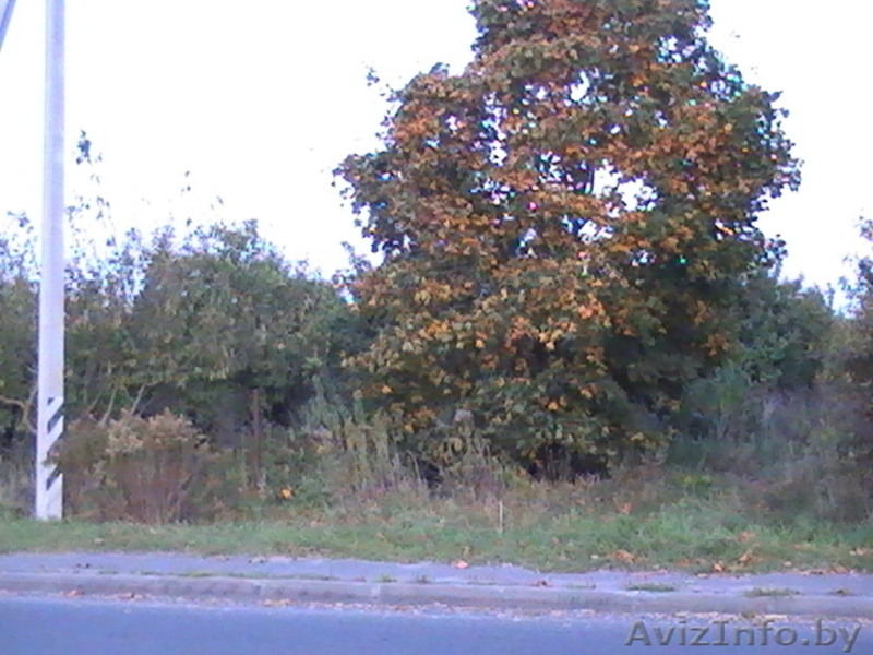 33 и более сотки плодородной земли! Дешево! - Изображение #1, Объявление #362814