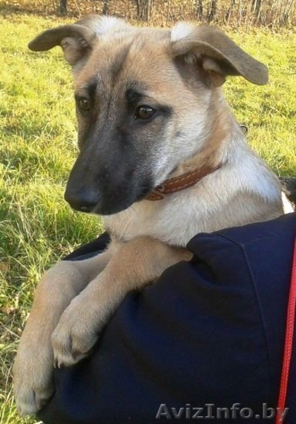 Красавица Лада в дар! - Изображение #2, Объявление #433064