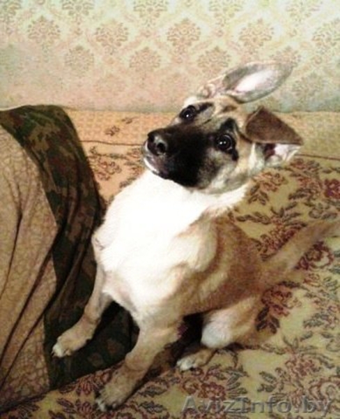 Красавица Лада в дар! - Изображение #3, Объявление #433064