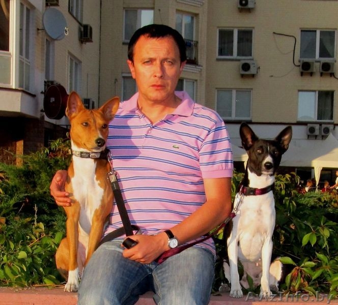 Ожидаются щенки басенджи - Изображение #2, Объявление #427760