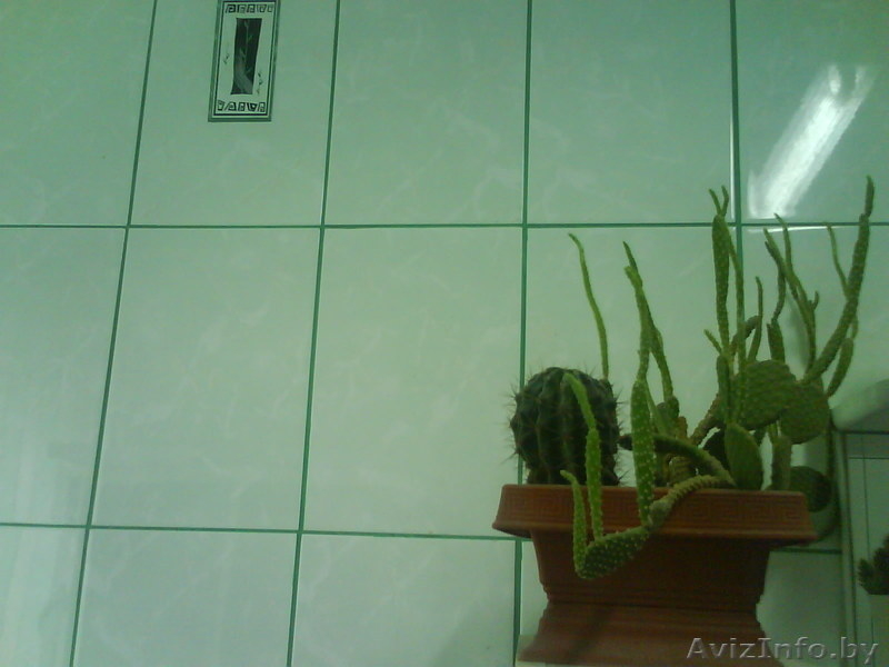 Укладка плитки, облицовка плиткой - Изображение #2, Объявление #437426