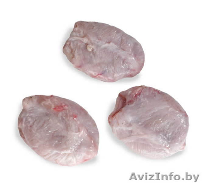 Натуральные Корма для КОШЕК И СОБАК, Соевый Изолят - Изображение #9, Объявление #466475