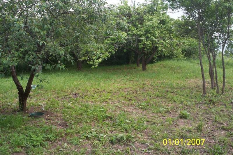 Участок рядом с оз.Нарочь(700м) со старым домом, 25 соток. - Изображение #4, Объявление #463875