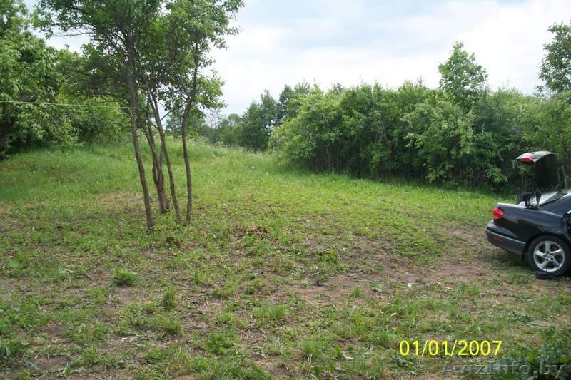 Участок рядом с оз.Нарочь(700м) со старым домом, 25 соток. - Изображение #3, Объявление #463875