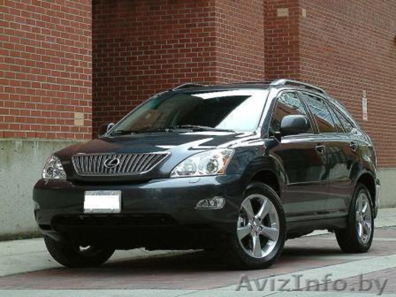 «Пчёлка Майя» -  прокат и аренда  автомобилей в Минске.  - Изображение #7, Объявление #477518