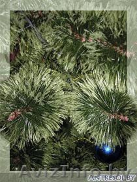 Ель и сосна искусственные польские - Изображение #3, Объявление #460030
