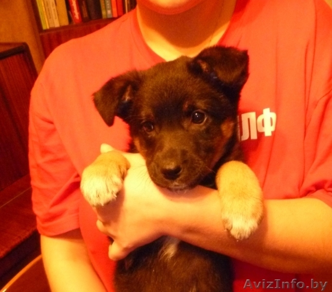 Кира… Кирочка… Кирюша! - Изображение #2, Объявление #462719