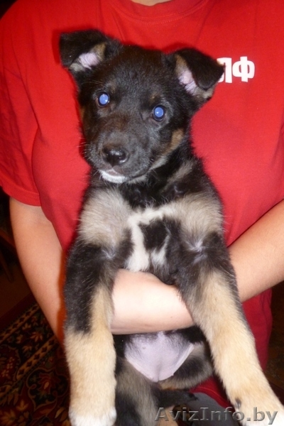 Кира… Кирочка… Кирюша! - Изображение #3, Объявление #462719