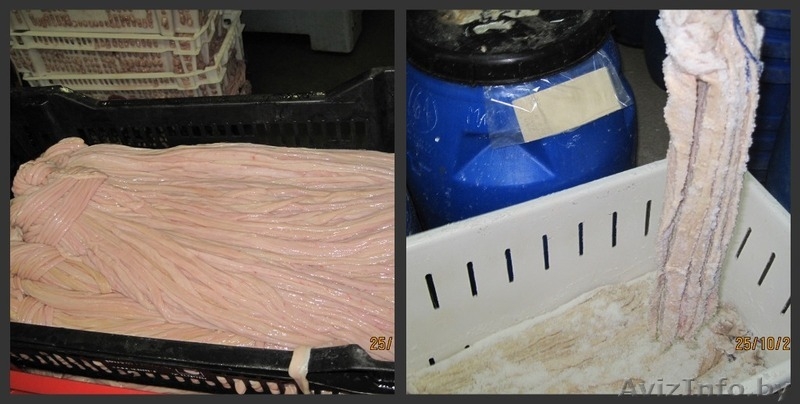 Натуральные Корма для КОШЕК И СОБАК, Соевый Изолят - Изображение #4, Объявление #466475