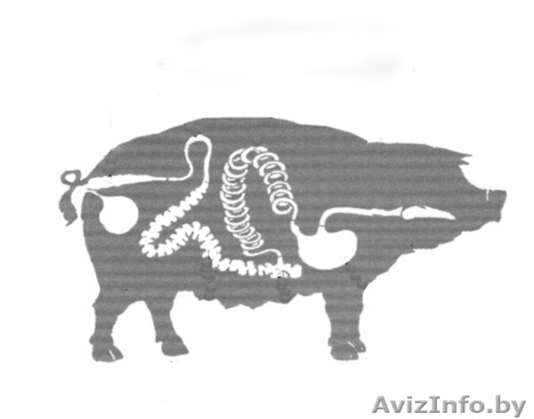 Натуральные Корма для КОШЕК И СОБАК, Соевый Изолят - Изображение #7, Объявление #466475