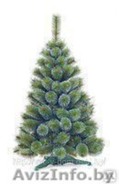 Ель и сосна искусственные польские - Изображение #2, Объявление #460030