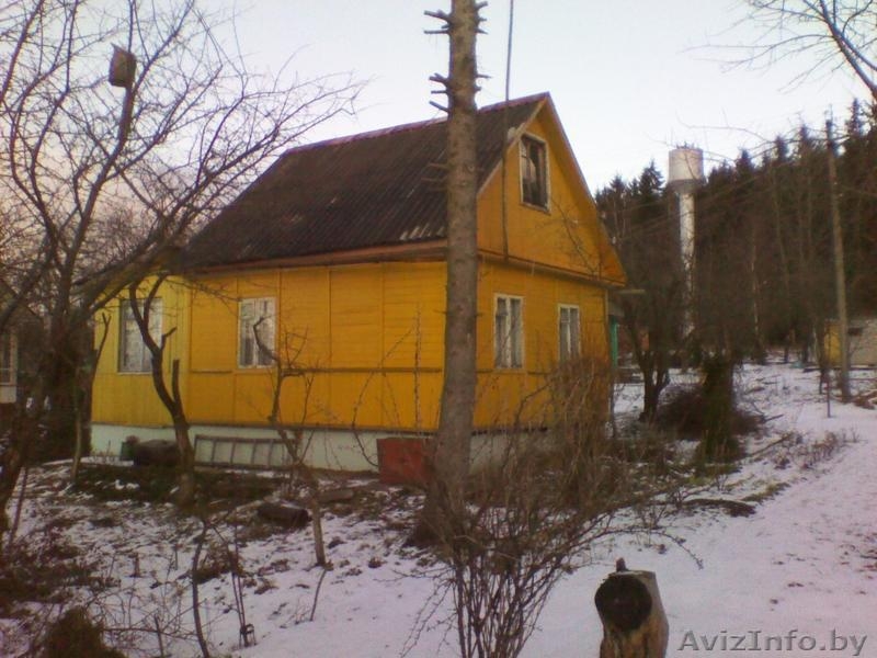 Срочно продам дачу жд.ст.Радошковичи - Изображение #4, Объявление #495758