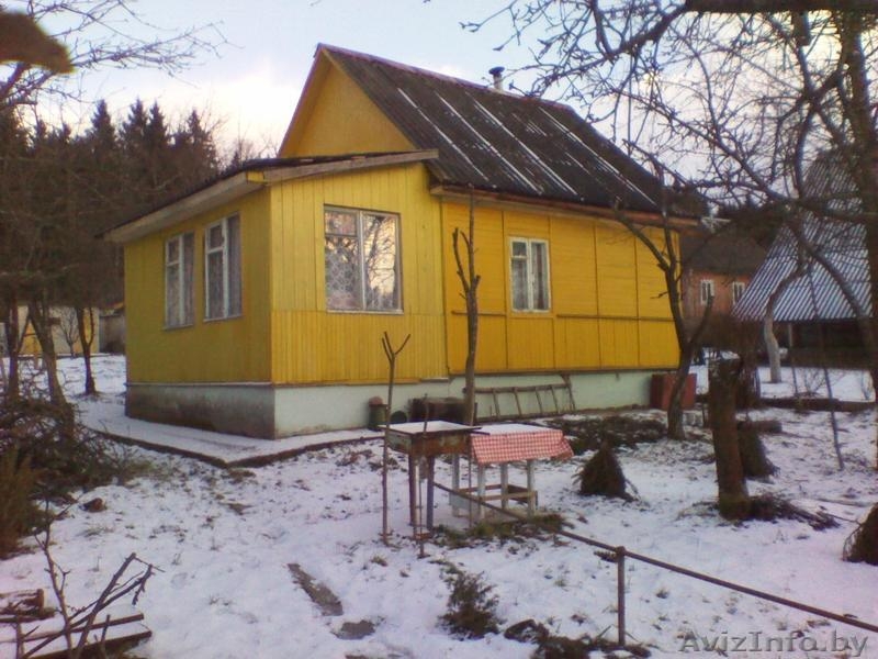 Срочно продам дачу жд.ст.Радошковичи - Изображение #5, Объявление #495758