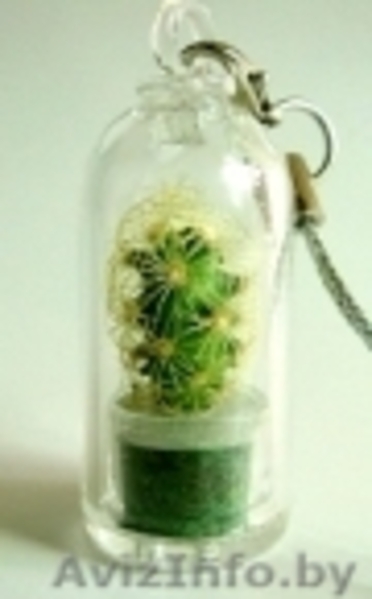 Брелоки с живыми растениями - Изображение #1, Объявление #509133