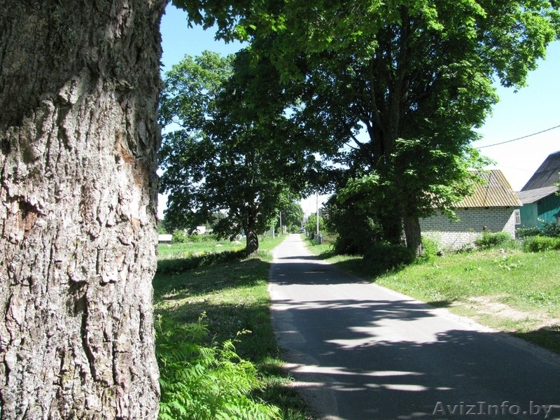 Новый дом вблизи Вилейского водохранилища - Изображение #4, Объявление #487592