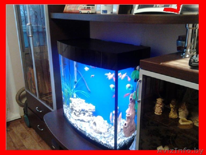 Аквариум 100л Панорама - Изображение #2, Объявление #580612