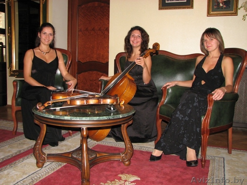 Струнный квартет "Лунный свет" минск +375296573520  1806@tut.by - Изображение #2, Объявление #584711