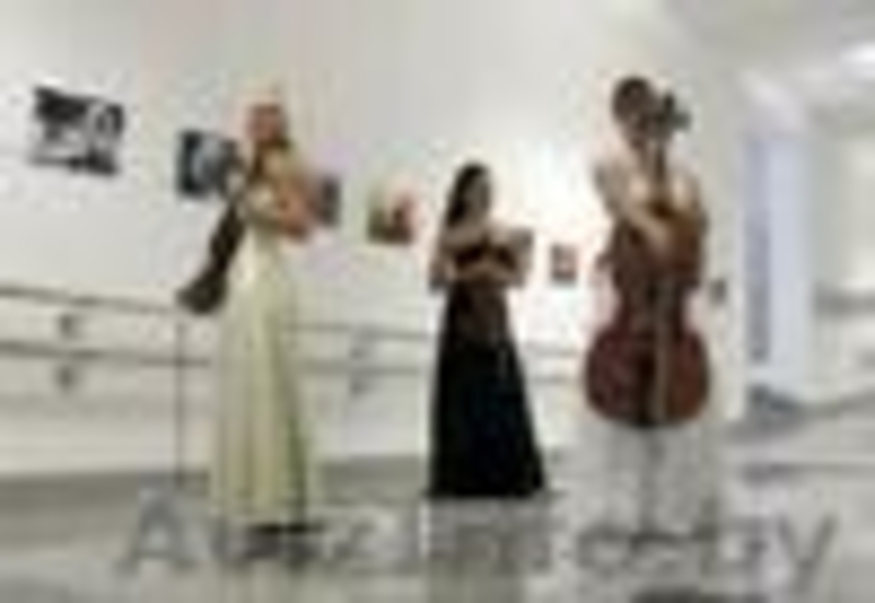 Струнный квартет "Лунный свет" минск +375296573520  1806@tut.by - Изображение #3, Объявление #584711