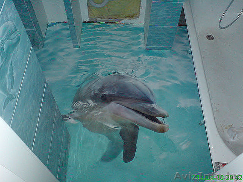 3D полы минск,гомель - Изображение #3, Объявление #563700