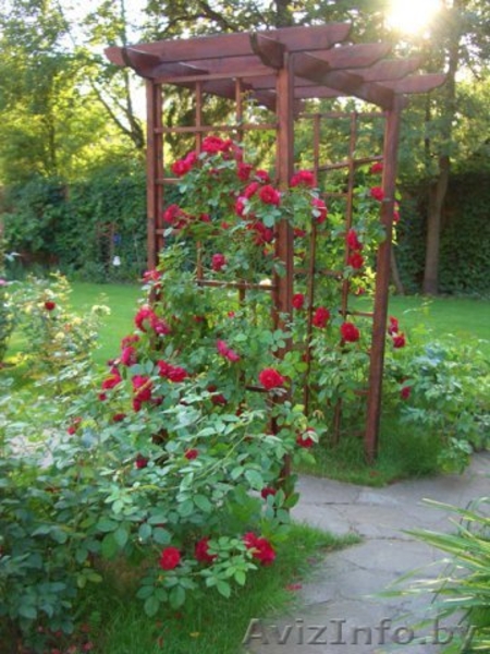 Ланшафтный дизайн - Изображение #2, Объявление #574127