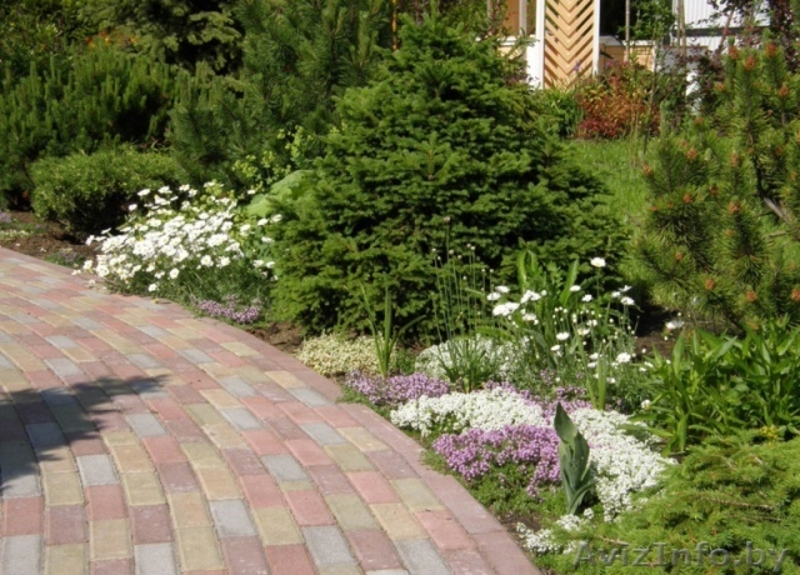 Ланшафтный дизайн - Изображение #4, Объявление #574127