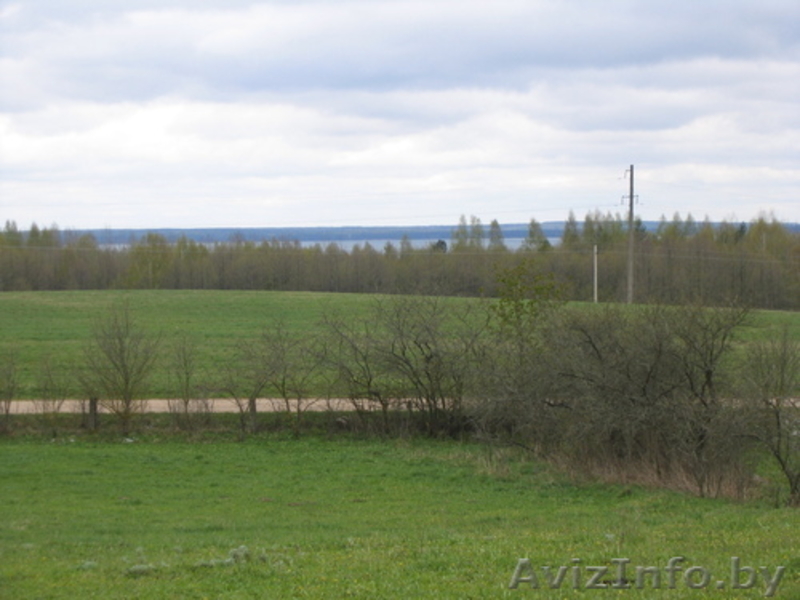 продается усадьба в Нарочи(д.Теляки), Мядельский р-н - Изображение #4, Объявление #633996