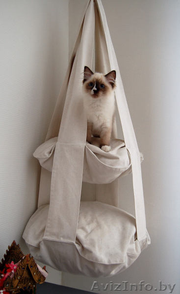 Мебель для Животных. Комплекс \\\"Кошкин Пентхауз\\\" в 2 этажа - Изображение #2, Объявление #652676