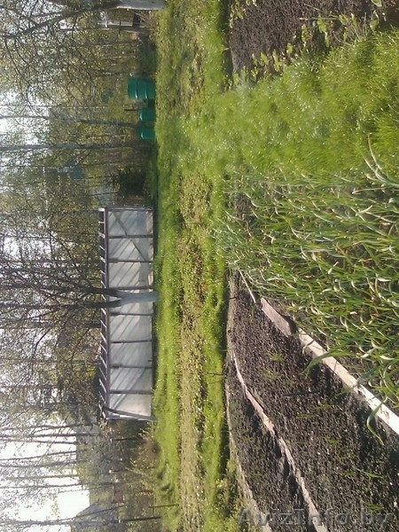 Прдается ухоженная дача. Готова для проживания летом. - Изображение #2, Объявление #668585