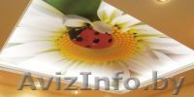 Натяжные потолки -  немецкий, французский; глянец, матовый, сатин - Изображение #1, Объявление #650089