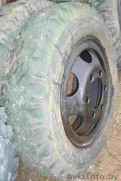 Продам колеса от ГАЗ-52, 53 б/у и диски - Изображение #5, Объявление #650640