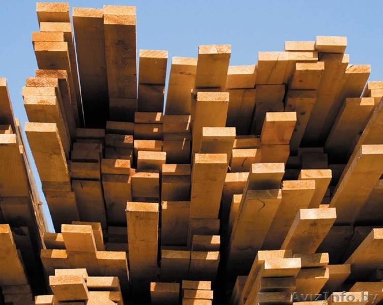 Сруб из дерева(кругляк,проф.брус), пиломатериалы. - Изображение #3, Объявление #661795