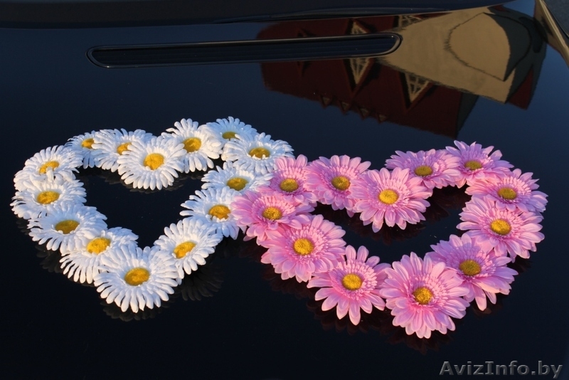 Украшения цветами на присосках капота автомобиля. - Изображение #2, Объявление #666394