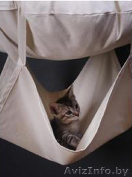 \\\"Кошкин Пентхауз\\\" в 3 этажа. Уникальный комплекс для кошек! - Изображение #2, Объявление #652688