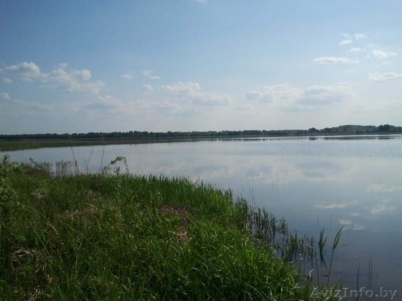 Сдам дом в Мядельском районе, д. Засвирь.  - Изображение #5, Объявление #684430