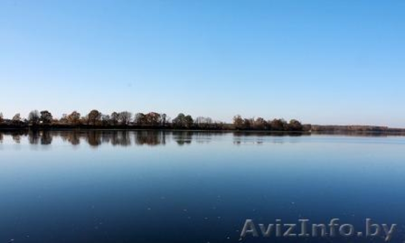 Продаю новую дачу (Осиповичское водохранилище). Недорого! - Изображение #4, Объявление #692098