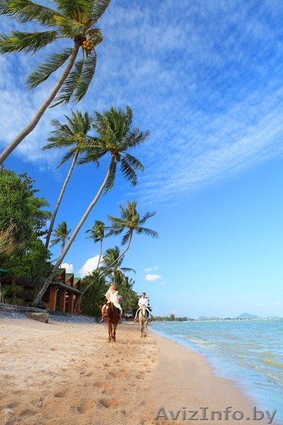 ХОТИТЕ ОТДЫХАТЬ И НИ О ЧЕМ НЕ ДУМАТЬ?! - Изображение #7, Объявление #700789