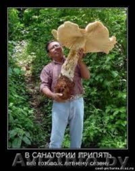 Бюро экскурсий  - Изображение #3, Объявление #680942