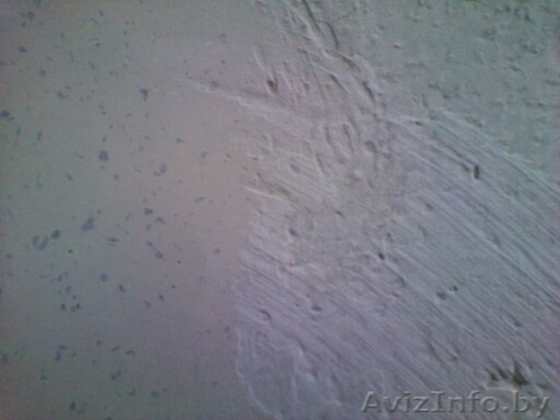 Шлифовка, полировка бетонных покрытий и полов,подготовка под наливной пол. - Изображение #2, Объявление #744087