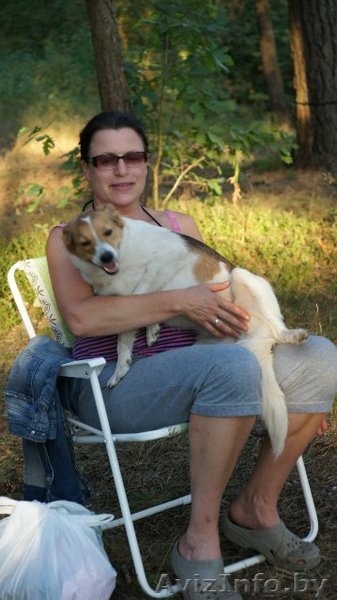 Эталон любви и преданности - собака Ядя! В дар, в добрые руки! - Изображение #6, Объявление #683247