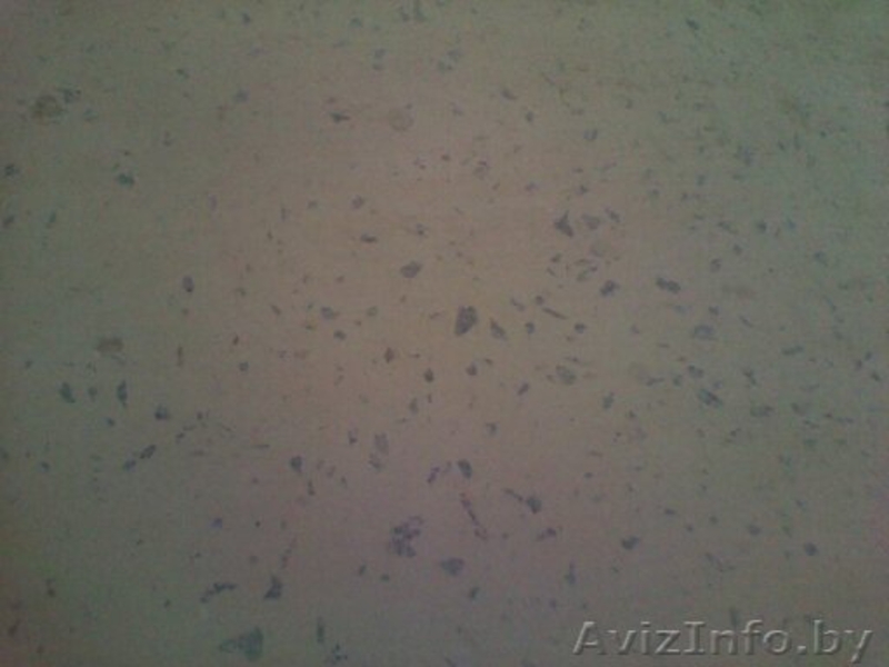 Шлифовка, полировка бетонных покрытий и полов,подготовка под наливной пол. - Изображение #4, Объявление #744087