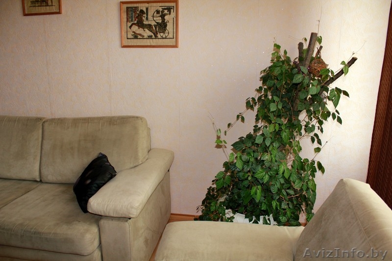  квартира на сутки - отличная альтернатива гостинице! - Изображение #5, Объявление #733646