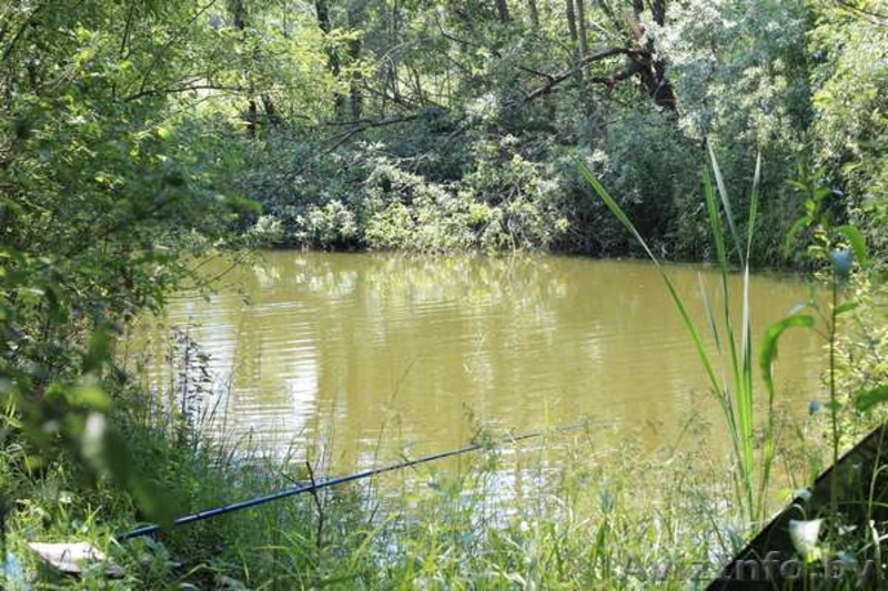 участок дачный в Держинском р-не  - Изображение #2, Объявление #733354