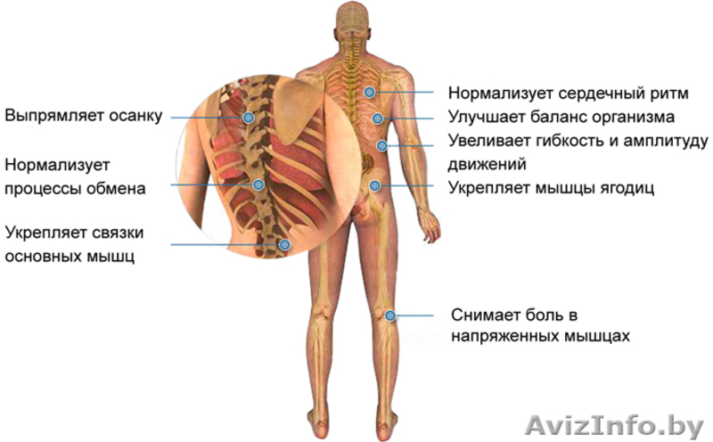 Лучшие цены Массажный обруч Health hoop  (Хула Хуп) 1,2 - Изображение #5, Объявление #263889