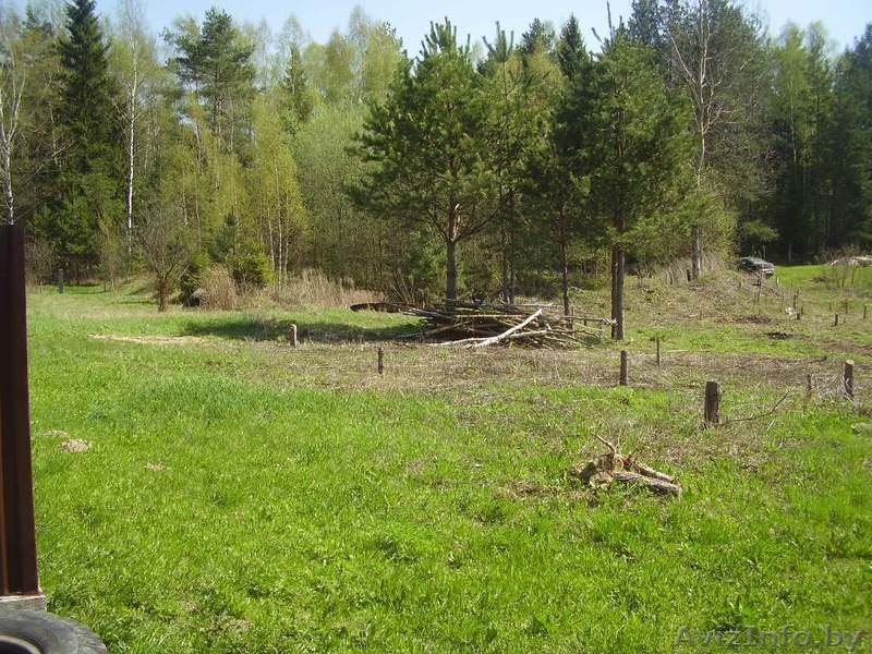 Продается участок в московском направлении - Изображение #6, Объявление #739604