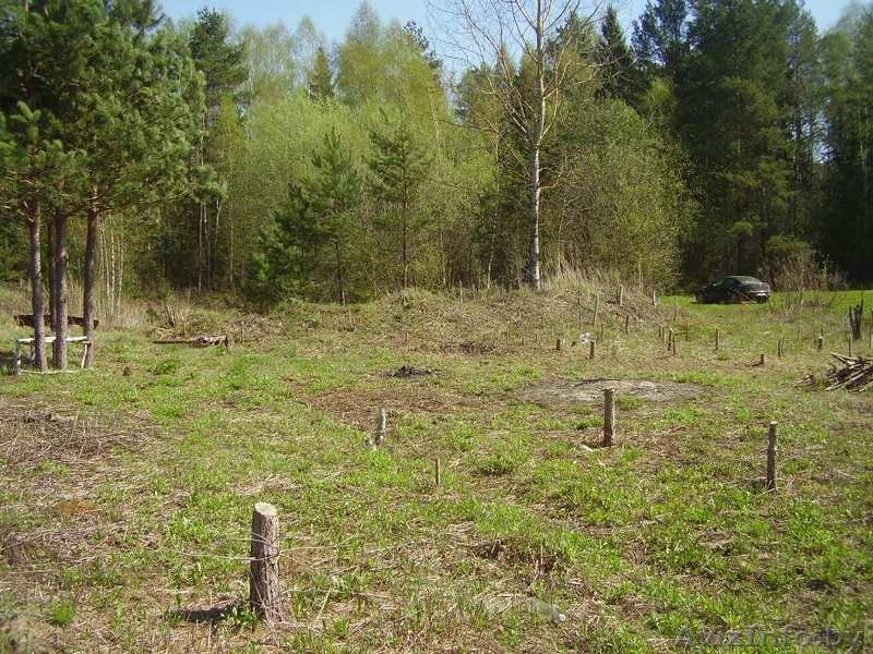 Продается участок в московском направлении - Изображение #8, Объявление #739604