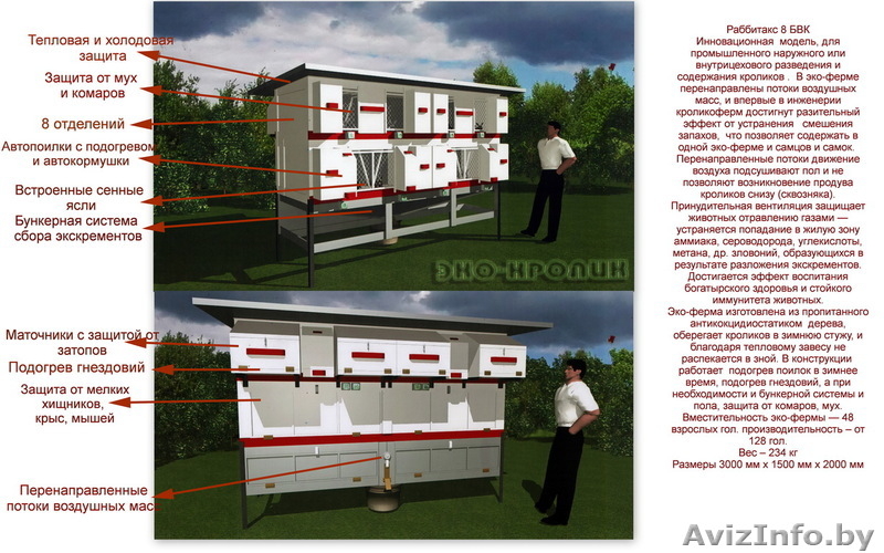 Кролиководство, оборудование для кроликов - Изображение #1, Объявление #733423