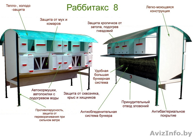 Кролиководство, оборудование для кроликов - Изображение #2, Объявление #733423
