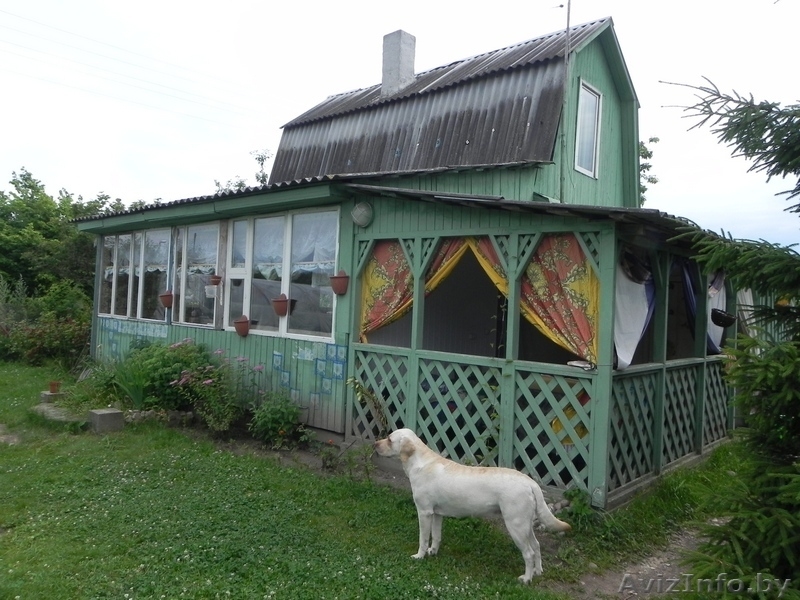дача на  нарочи - Изображение #3, Объявление #757302