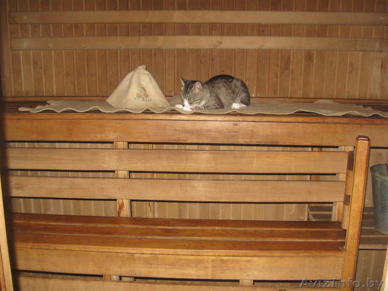 Теремок в тихом месте на 2-6 чел. - Изображение #3, Объявление #752402