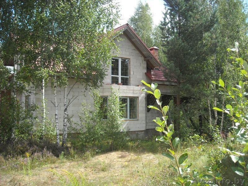 Уютный дом в лесу под Минском - Изображение #1, Объявление #759822